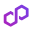 Polygon POS